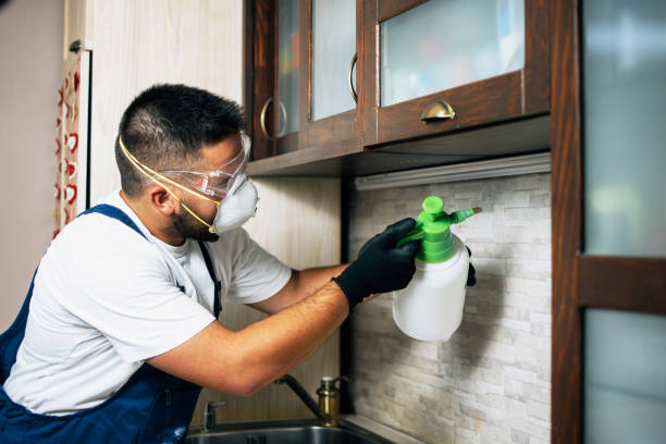 Best Exterminator Services  in Martinsburg, WV