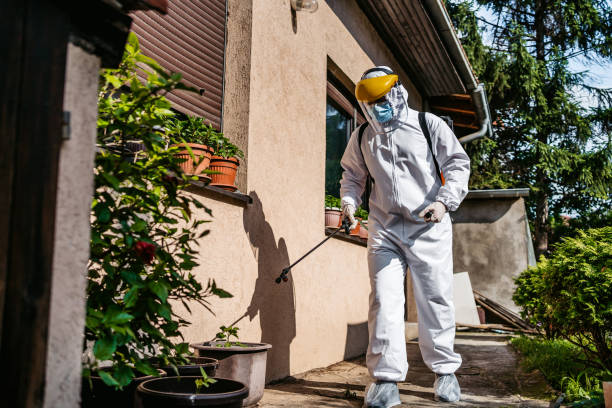 Best Pest Removal Services  in Martinsburg, WV