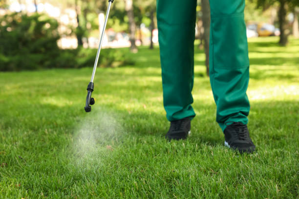 Best Pest Inspection Near Me  in Martinsburg, WV