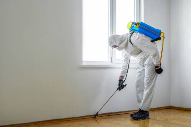 Best Local Pest Control Services  in Martinsburg, WV