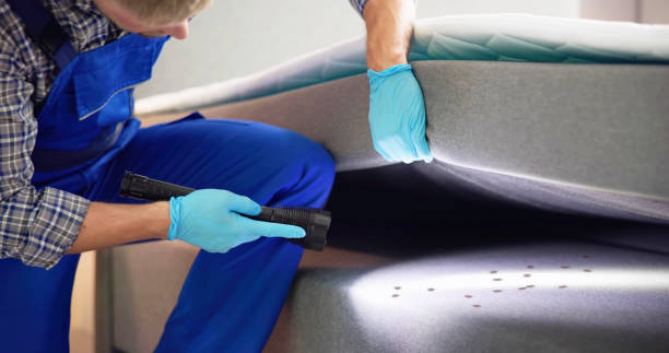 Best Emergency Pest Control  in Martinsburg, WV