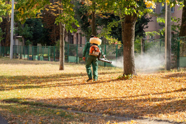 Reliable Martinsburg, WV Pest Control Solutions